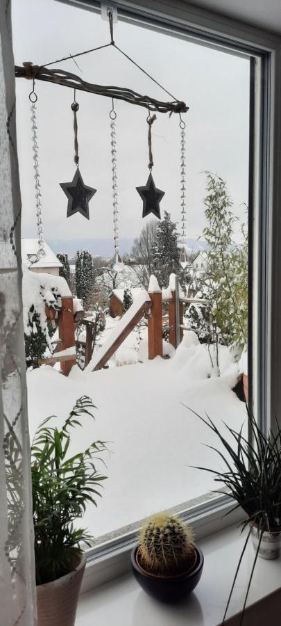 Appartment Fasanenhof Klinikum Und Uni Nah Mit Netflix Kassel Dış mekan fotoğraf